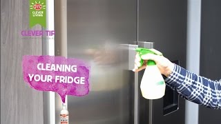 Clean your fridge [upl. by Villada]