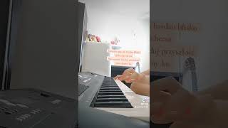 Pectus  Barcelona  piano cover pectus pectuskeyboard [upl. by Rap636]