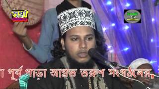 Bangla Waz Maulana Shah Mufti WaliUllah Faruqi naila paniswarওয়ালি উল্লাহ ফারুকি [upl. by Conant]