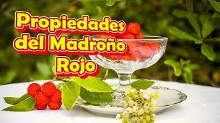 Propiedades del Madroño Rojo [upl. by Shull]