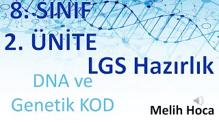 8 Sınıf 2 Ünite DNA ve Genetik KOD [upl. by Rothberg]