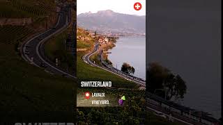 How beautiful it is to see a red train passing by Lavaux vineyard in Switzerland shorts train [upl. by Mmada]