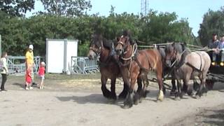 Trekpaarden op de Boerendag in Rijsbergen 2015 [upl. by Rudy503]