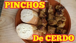 PINCHOS de CERDO [upl. by Lamej]