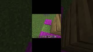 Minecraft Tik Tok hacks that actually workshorts [upl. by Ennairek]