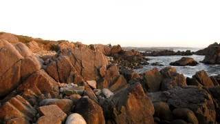 Asilomar State Beach Pacific Grove California [upl. by Joanna602]