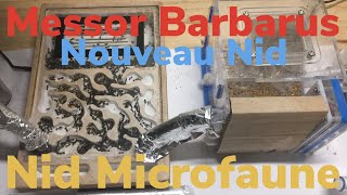 Unboxing d’un Nid Microfaune et sont installation [upl. by Carol]