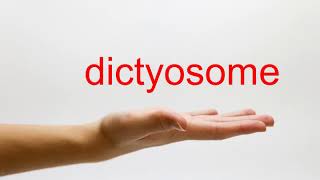 How to Pronounce dictyosome  American English [upl. by Llerryt488]