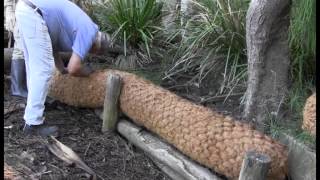 Installing Coir Log Walls to Control Bank Erosion [upl. by Yesnil582]