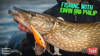 Trolling Tough Pikes  Fishing with Edvin and Philip English Subtitles [upl. by Nanyt]