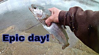 Trout fishing at lake Poway I caught so many trout [upl. by Condon]