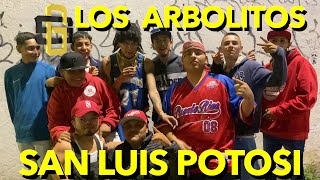 LOS ARBOLITOS SAN LUIS POTOSI LA GRANJA SANITARIA [upl. by Inaluahek]