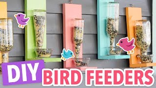 DIY Bird Feeders [upl. by Aramal]