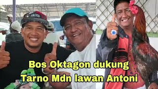 Bos Oktagon dukung Tarno Mdn [upl. by Missi778]