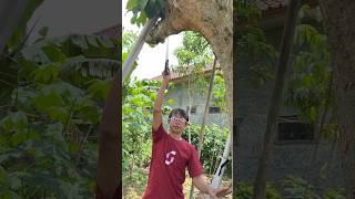 KACA MATA ANTI DEBU diy kreatif news viralvideo shortvideo shorts [upl. by Puduns87]