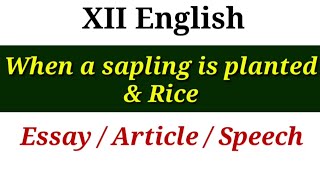 EssayArticleSpeech Important common answer from When a sapling is planted [upl. by Mccurdy]