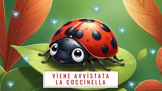 Viene avvistata la coccinellaStorie per bambini [upl. by Kciredorb709]