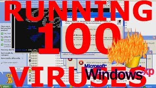 What happens if you run 100 viruses on Windows XP [upl. by Cline972]