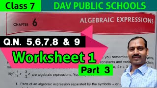 DAV class 7 maths chapter 6 worksheet 1 QN 5 6 7 8 and 9 [upl. by Ellatsyrc956]