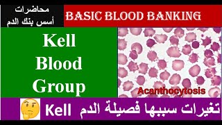 Lecture 51 Kell Blood Group System [upl. by Kimberly]