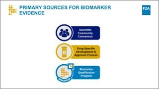 Pathways for Using Biomarkers in Drug Development [upl. by Eineeuq]