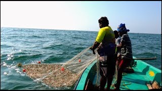 PRAWN CATCHING AT SEA [upl. by Skylar291]