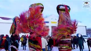 Goats from Moldova Cahul Crihana Veche 2019 winter traditions and customs Caprele 2019 [upl. by Lavelle]