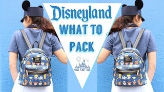 What to Pack for Disneyland  Disneyland 2018 [upl. by Davine]