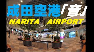 【環境音】成田空港チャイム「音」、ヘッドホンでお聞きください！（国際線出発アナウンス きれいな中国語普通話北京語・英語・日本語 勉強BGMにどうぞ！） [upl. by Aimerej]