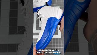 AIR JORDAN 12 BLUEBERRY 2024 INHAND LOOK  SHORT REVIEW 👀 [upl. by Harias]