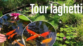 TOUR DEI LAGHETTI laghetti stagni e bonsai pond [upl. by Jeconiah220]