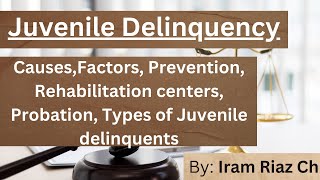 Juvenile Delinquency  causes  Factors  Prevention  courts  rehabilitation centers  probation [upl. by Notlit288]