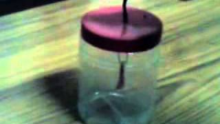 charging and discharging of electroscope by finger touching [upl. by Aliuqa]