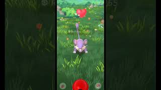 Caught a rattata  pokemon  pokemon go  first short [upl. by Arotak582]