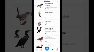 Sharing Your Birding Its Better Together [upl. by Atkins]