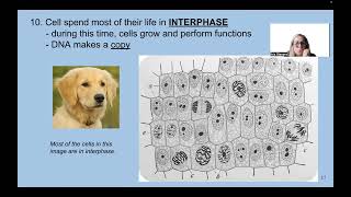 unit 6A cell division [upl. by Peers]