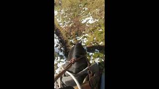 Montana Backcountry Horseback Ride [upl. by Elletsirk768]