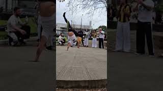 ACROBACIAS Mestre Falcão sports capoeira dance danza capoeiralove song viral [upl. by Corsiglia599]