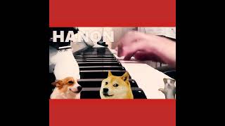 Beginner Piano Practice Month 9  Hanon 38 amp scale fingering practice [upl. by Ahsimin]