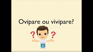 ovipare ou vivipare [upl. by Odlanyer]