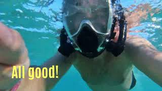 Snorkeling in Pickalbatros Palace Resort  hurghada pickalbatros insta360go3s insta360 [upl. by Bulley849]