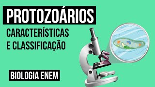 PROTOZOÁRIOS características e classificação  Biologia para o Enem  Cláudia de Souza Aguiar [upl. by Duile]