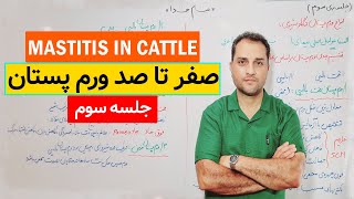 All about mastitis types of mastitis in dairy cows [upl. by Attenaz646]