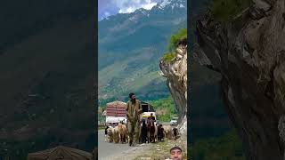 million automobile ytshorts travel mountains nature love sad shortsviral zindagi [upl. by Casandra37]