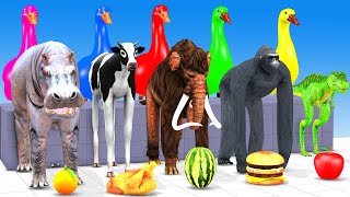 5 Giant Duck Cartoon Cow Elephant Lion Gorilla Hippo Max Level Long legs Funny New 3D Animal Game [upl. by Reckford426]