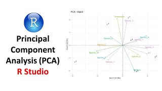 Principal Component Analysis PCA in R  Data Visualization [upl. by Nirre952]