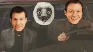 What Is Zoboomafoo [upl. by Eniluqcaj]