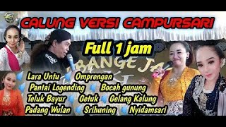 Full 1 jam Album Calung Banyumasan versi campursari [upl. by Merilyn]