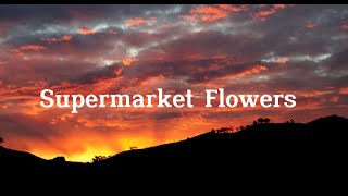 Ed Sheeran  Supermarket Flowers [upl. by Ynnaj]