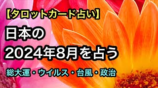 【タロット占い】日本の2024年8月を占う【総大運・ウイルス・台風・政治】 [upl. by Biegel]